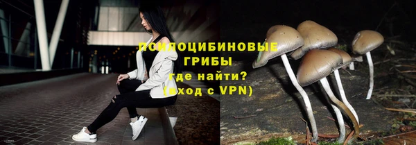 шишки Аркадак