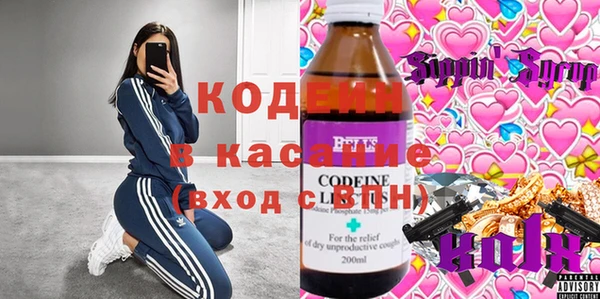 шишки Аркадак
