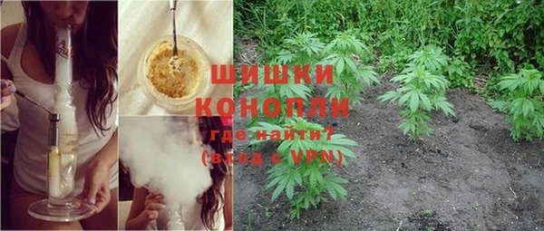 шишки Аркадак