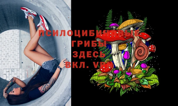 a pvp Армянск