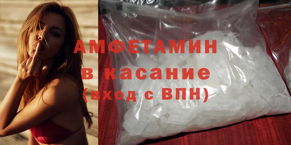 шишки Аркадак
