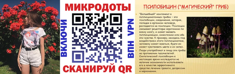 закладка  Сретенск  Псилоцибиновые грибы прущие грибы 